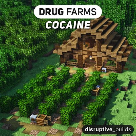 minecraft drug farm